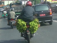 Seorang bapak duduk di motor yang dipenuhi petai. (Foto Aria Kencana Asmara)