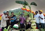 Menteri PDT Menari Bersama Warga Papua