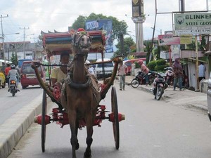Naik Bendi dan Aneka Cara Asyik Menikmati Bukittinggi