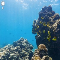 Cantiknya Pemandangan Bawah Laut di Google Maps