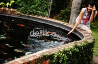 Jujur, aku udah ngukur kemampuan aku, dan aku bukan tipe yang bisa jalanin dua duanya bareng-bareng. Jadi, sekarang mendingan pilih syuting aja dulu, meski ada rencana juga tahun ini daftar untuk kuliah, paparnya.