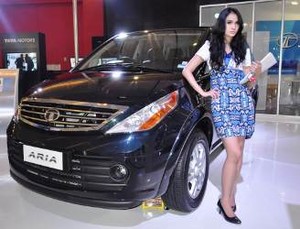 Tata Aria Pikat Indonesia