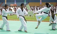 Diharapkan dengan adanya duta taekwondo animo masyarakat terhadap seni beladiri ini menjadi semakin meningkat.