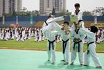 Kebersamaan di Hari Taekwondo Indonesia