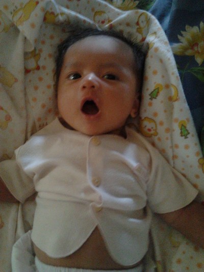 Muhammad Mushab Almuqri, 1,8 Bulan, Lelaki