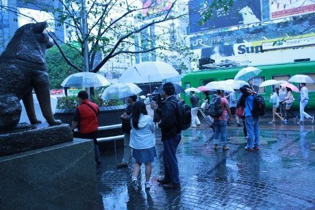 Berkaca dari Anjing Akita, Menakar Setia di Stasiun Shibuya