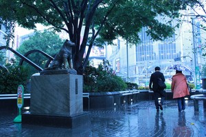 Monumen Anjing Hachiko & Kesetiaan yang Mengharukan