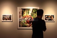 Seorang pengunjung melihat foto-foto yang dipamerkan.