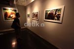 Orangutan Kalimantan di Mata Perempuan