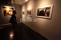 Seorang pengunjung melihat foto-foto yang dipamerkan.