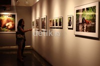 Melalui pemeran foto ini diharapkam kepedulian masyarakat atau pengunjung tentang konservasi orangutan dan pelestariannya tergugah.