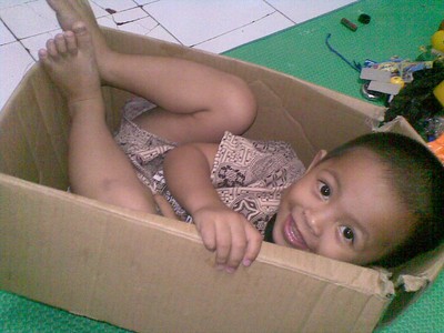 Muhammad Hafiz Afrizal, 2,6 Tahun, Lelaki