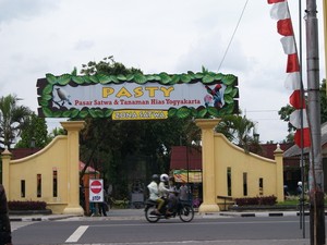 Pasty, Pasar Hewan yang Istimewa Punya Yogya