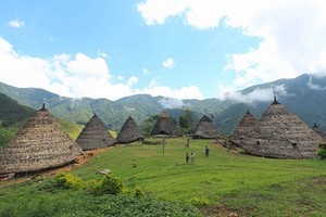 Rumah Adat Terunik se-Indonesia Ada di Flores