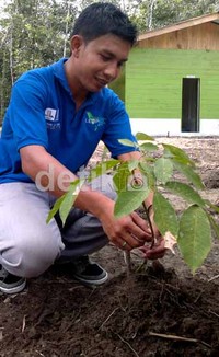 Salah seorang penyuluh tanaman dari Nias DELF-World Bank mengajari warga bercocok tanam.