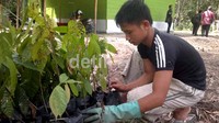 Masyarakat Nias dididik melakukan pembibitan tanaman karet.