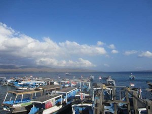 Eksotisme Pulau Menjangan di Bali Barat