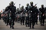 Kolone Senapan & Beladiri Meriahkan HUT TNI