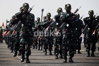 Atraksi kolone senapan juga memeriahkan HUT ke-67 TNI.