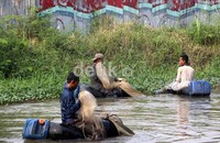 Mereka mencari ikan dari pagi hingga sore.