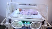Bayi ini lahir dengan berat 2,8 kilogram dan panjang 49 cm.