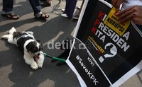 Mereka membawa poster-poster berlatar hitam dengan tulisan Kemana Presiden Kita.