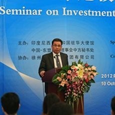 Idealnya Investasi China di Indonesia US$ 2 Miliar/Tahun