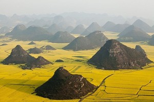 Wow! Desa Wisata di China Punya Lautan Emas