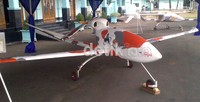 Puna Gagak dirancang untuk memantau perbatasan dan bencana. Juwari/detikcom.