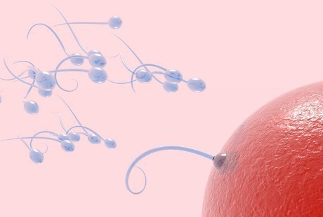 Biar Hamil, Wanita China Beli Sperma di Pasar Gelap