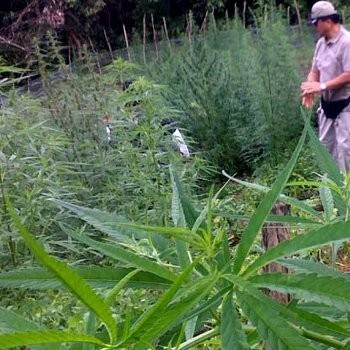 Pemerhati Anak Sedih MA Batalkan Vonis Mati Produsen Narkoba