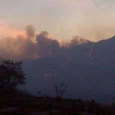 Kebakaran Hutan di Kawasan Tahura Meningkat 250%