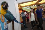 Indonesia Travel Holiday Fair Dipenuhi Pengunjung