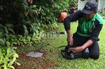 Sambut Jokowi, Rumah Dinas Gubernur Berbenah
