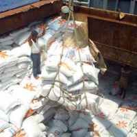 RI Telah Datangkan Beras 996.000 Ton dari Luar Negeri