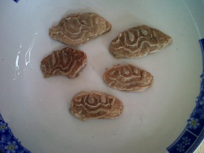 5 Potong Daging Sapi Berlafadz Allah