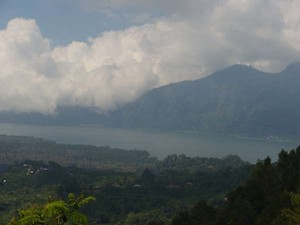 Asyik, Ada Lomba Anjing Kintamani di Bali