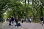 Central Park: Taman Hijau dan The Avengers