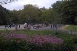 Central Park: Taman Hijau dan The Avengers