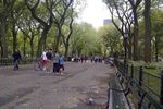 Central Park: Taman Hijau dan The Avengers