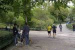 Central Park: Taman Hijau dan The Avengers