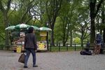 Central Park: Taman Hijau dan The Avengers