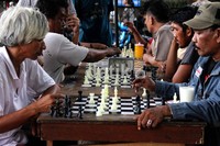 Di sela rutinitas kerja, mereka masih menyempatkan diri untuk bermain catur.
