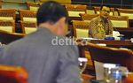 Komisi III Tes Calon Komisioner Komnas HAM