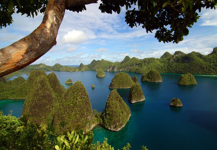 Wah! Ada Pesta Seru di Raja Ampat