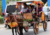 Bastian duduk di samping pak kusir yang sedang bekerja. (Gusmun/detikHot).
