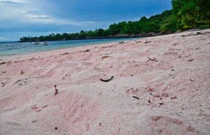 Cantik! Indonesia Punya 2 Pantai Berwarna Pink