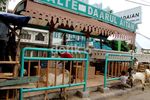 Penjualan Hewan Kurban Mulai Marak