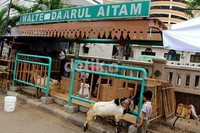 Sepekan menjelang Idul Adha penjualan hewan kurban mulai menjamur di pinggiran jalan ataupun memanfaatkan halte penumpang.