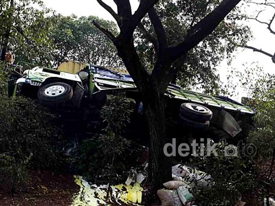 Truk Pengangkut Cat Nyangkut di Pohon